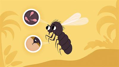 Sand Flies: A Dangerous Insect on a Changing Planet